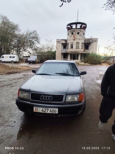 талас ауди: Audi 100 C4 седан, серый металлик, госномер KG 05 · 427 ADO