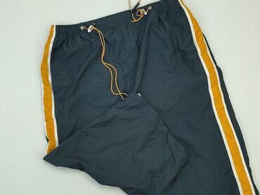 Trousers: Shorts for men, M (EU 38), condition - Good