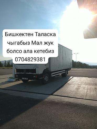 Грузоперевозки на маршруте Бишкек — Талас. Перевозим живой скот и at lalafo.kg Грузоперевозки на маршруте Бишкек — Талас. Перевозим живой скот и