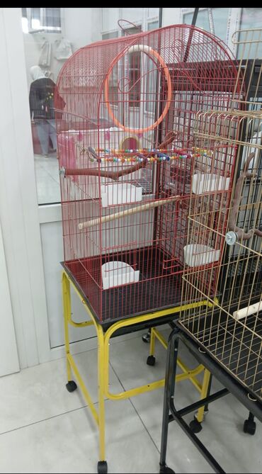 Qəfəslər: Her novde her qiymete qefeslermiz var catrilma var metrolara rayolara — 3