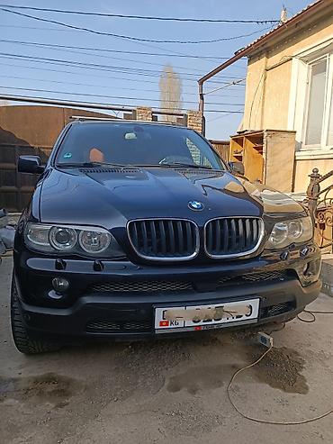 bmb e39: BMW X5: 2006 г., 3 л, Автомат, Дизель, Внедорожник — 1