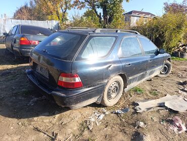 решетка на пассат б4: Honda Accord: 1998 г., Механика