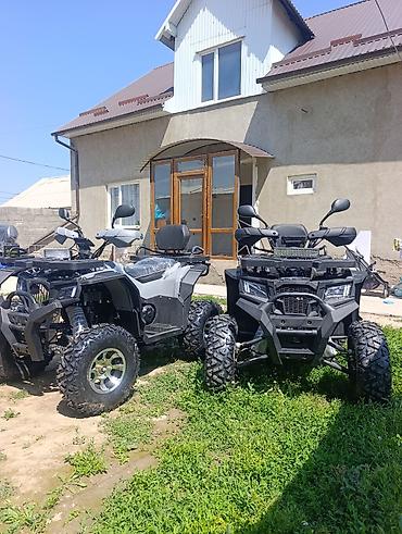 250: Квадроцикл Бензин, 250 куб. см, Взрослый — 4