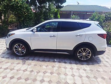 diplomat guzgu: Hyundai Santa Fe salonu – rahatlıq və funksionallıq bir arada — 5