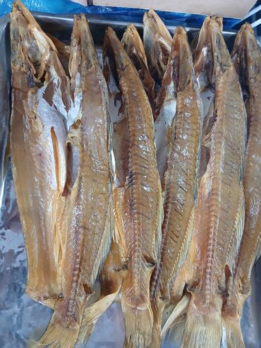 Рыба и морепродукты: Свежий — 22