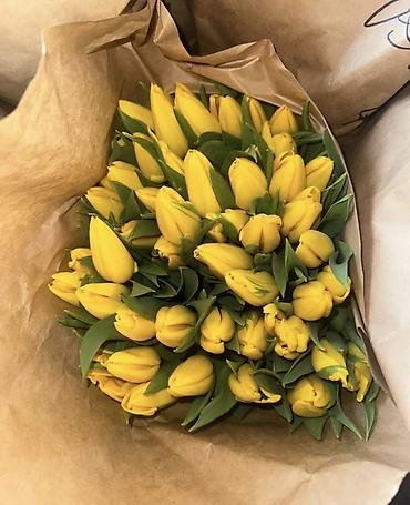 Букеты из живых цветов: Тюльпаны Оптом и в розницу - Разнообразие оттенков: жёлтые, розовые — 14