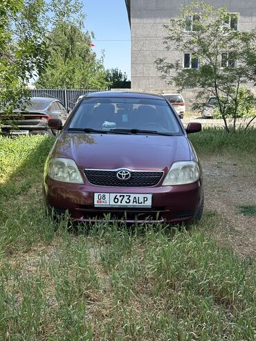 Toyota: Toyota Corolla: 2003 г., 1.6 л, Механика, Бензин, Седан