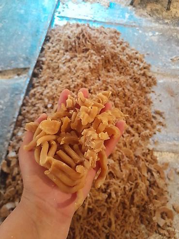 Промышленная химия: Самынга даяр сырье сатылат оптом Жыты жок, катуу, 72%, эзилбейт at lalafo.kg — 4 Промышленная химия: Самынга даяр сырье сатылат оптом Жыты жок, катуу, 72%, эзилбейт — 4