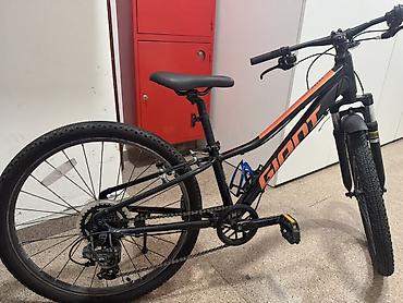 токолка вип: Детский горный велосипед GIANT Talon 24 (Valencia) - Диаметр колес — 4
