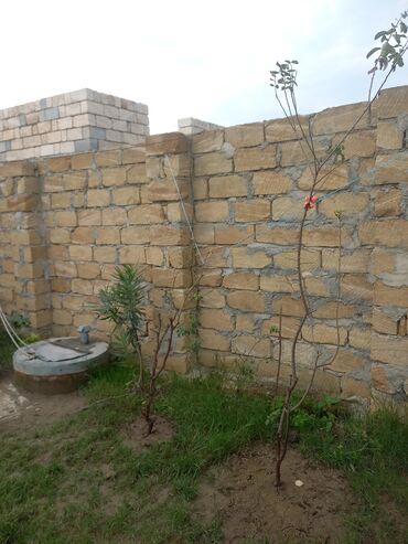 Torpaq sahələrinin satışı: 3 sot, Tikinti, Mülkiyyətçi, Kupça (Çıxarış) — 10