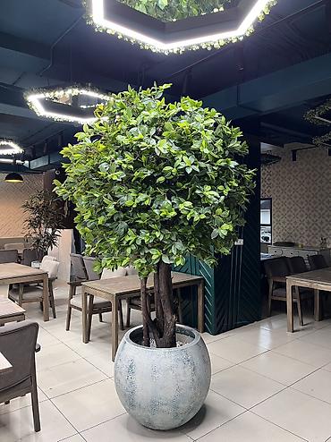 Декоративные цветы: 🌿 Мы — Mayram Decor KG, ваш надежный партнёр в создании эффектных и — 28