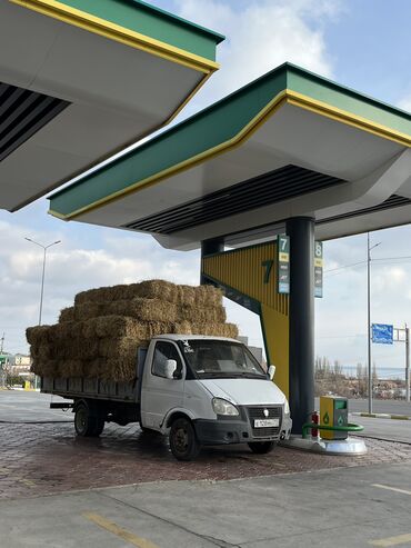 ГАЗ: ГАЗ GAZel: 2006 г., 2.4 л, Механика, Бензин — 1