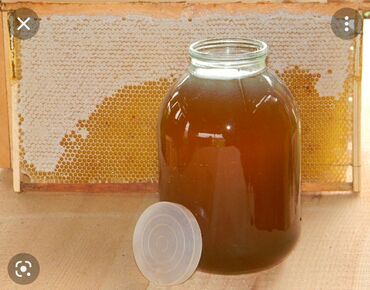 Услуги: Продаю мошьный горный Чаткальский мёд оптом тел 