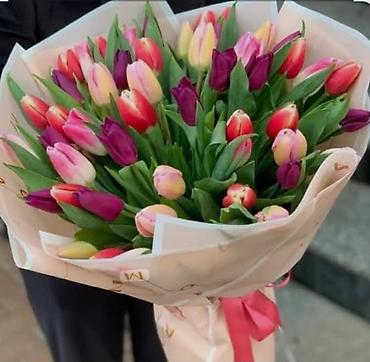 Букеты из живых цветов: Тюльпаны срезанные в наличии в ограниченном количестве -В продаже есть — 3