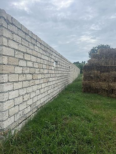 Həyət evləri və villaların satışı: 3 otaqlı, 100 kv. m, Yeni təmirli — 39