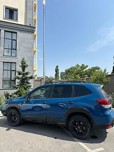 v klass: Subaru Forester: 2023 г., 2.5 л, Автомат, Бензин, Кроссовер — 7