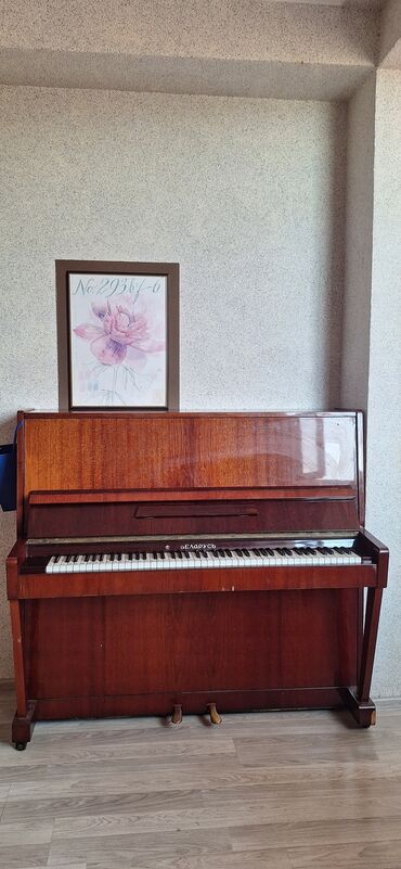 Saz: Piano, Belarus, Akustik