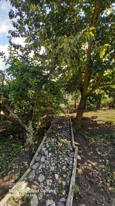 Həyət evləri və villaların satışı: 6 otaqlı, 150 kv. m, Orta təmir — 50