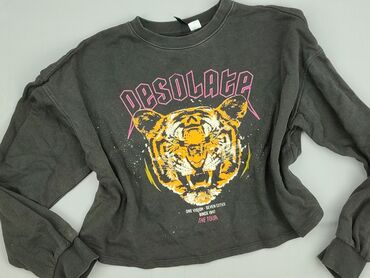 balanciaga koszulka: H&M Divided, Women`s sweatshirt, size S (EU 36)