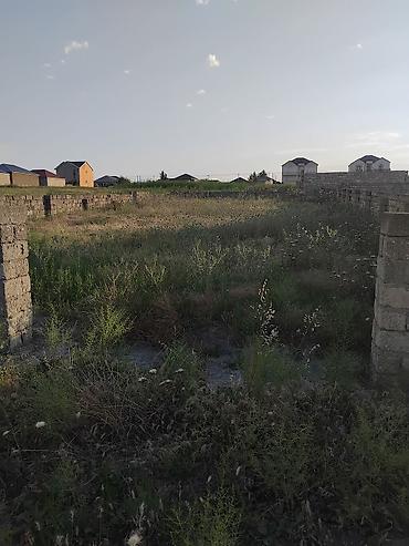 4 sot, Tikinti, Makler, Kupça (Çıxarış)