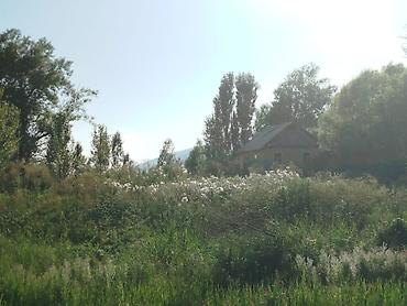 квартира дом каракол: 30 соток, Для бизнеса, Красная книга — 5