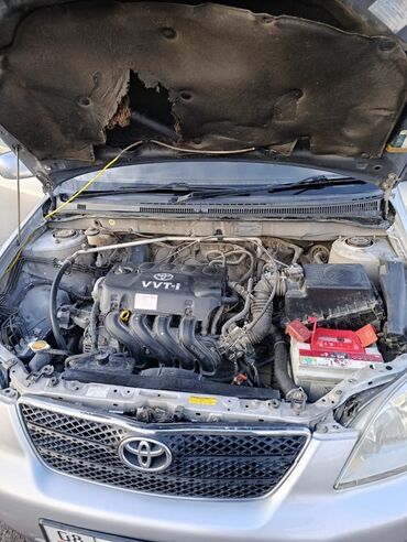 Toyota: Toyota Corolla: 2003 г., 1.5 л, Автомат, Бензин, Хэтчбэк — 10