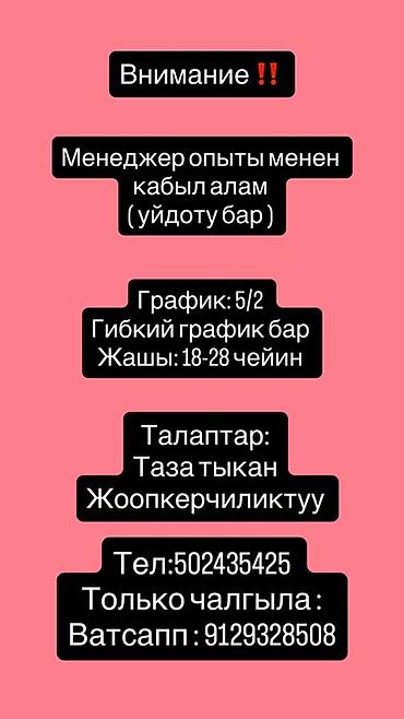 требуется руководитель: Вакансия: менеджер с опытом. Предусмотрено обучение. График работы: - — 1