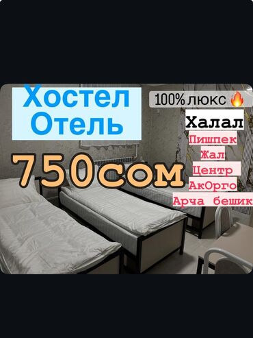 аренда помещения ак ордо: Хостел 24/7 Люкс Условия Отель Душ Туалет в каждой комнате Адрес