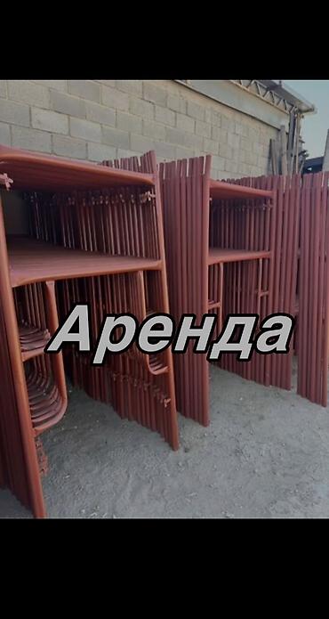 Другие животные: Сдам в аренду звоните — 7