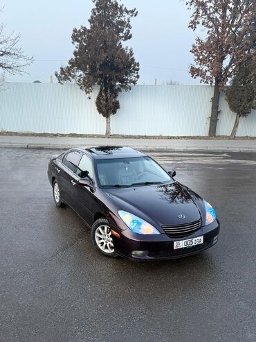 лексус жс: Lexus ES: 2004 г., 3.3 л, Типтроник, Бензин, Седан