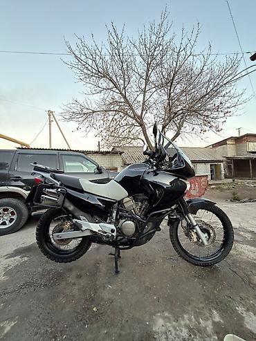 Мотоциклы: Эндуро Honda, 650 куб. см, Бензин, Взрослый, Б/у — 4