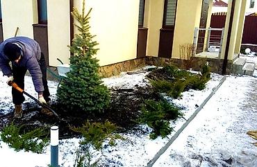 Другие услуги: Услуги посадок Зимой! Елей и Туй. Хвоников одним словом Ландшафтный — 1