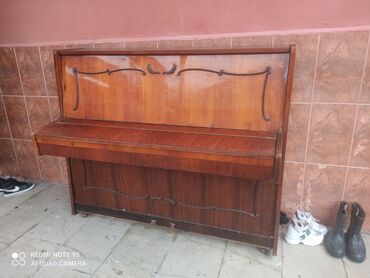 piano oturacağı: Piano, Belarus, Akustik
