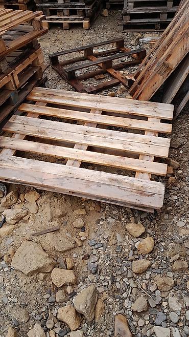 limon ağaçı: Pallet, 800 х 1200 sm, Ödənişli çatdırılma — 9