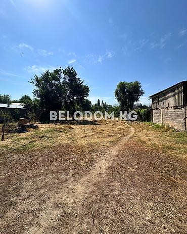 Үйлөр: 🏠Продается дом в с. Беловодское Верхняя зона, от трассы - 700м — 2