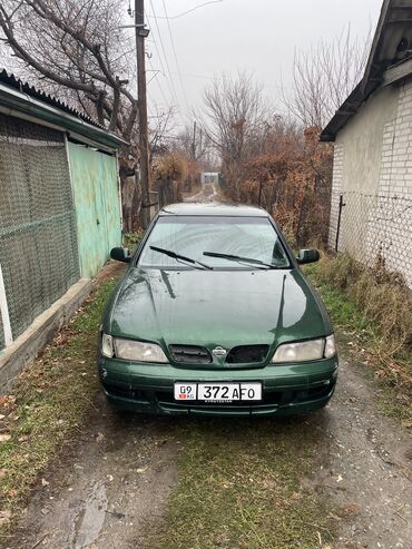 Nissan: Nissan Primera: 1999 г., 2 л, Механика, Бензин, Седан — 2