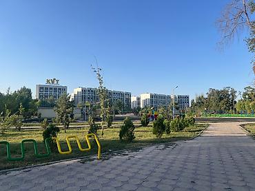 premium development: 1 комната, Собственник, Без животных, от 6 месяцев, С мебелью частично — 3