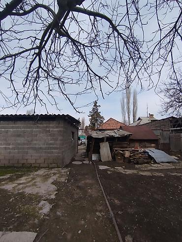 Продажа коттеджей и домов: Продается дом в г. Кара балта 17,5 соток. Мы посадили осенью новый — 14