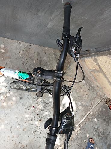grand bicycle: Dağ/şosse üçün universal velosiped - Brend nişanları: Adidas temalı — 1