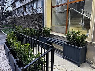 epimedium bitkisi satisi: Taxtalar ile ve, restoran, ofis, otel ve s. Məkanlarınızın müasir və — 5