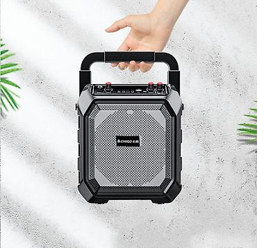 hoco eq34 plus: Портативная колонка караоке система с двумя микрофонами Chigo M63 — 3