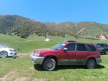 субару аскент разбор: Subaru Forester: 2004 г., 2 л, Автомат, Бензин, Универсал — 2