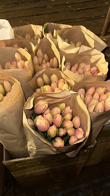 Букеты из живых цветов: Тюльпаны в крафтовой упаковке — срезанные бутоны на крепких стеблях — 1