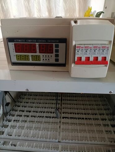 İnkubatorlar: Böyük həcmli avtomatik inkubator komplekti.tam işlək vəziyyətdədir.504 — 10