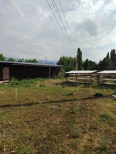 Коммерческая недвижимость: Продаётся земельный участок с хозяйственными постройками 30 соток — 1