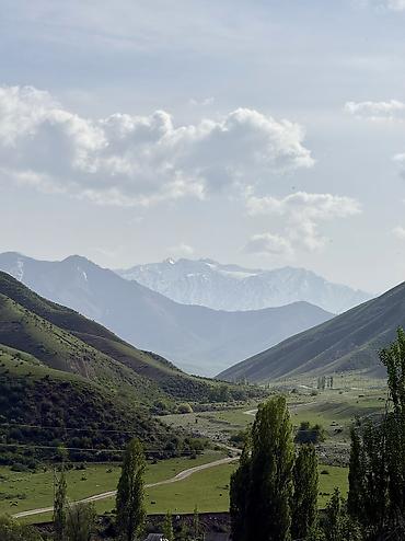 Продажа дач: Продаётся дача рядом с селом Горная Маевка(дачи Норус) площадь участка — 20