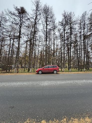 Toyota: Toyota Corolla: 2003 г., 2 л, Автомат, Бензин, Универсал — 12