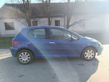 Peugeot: Peugeot 307: 1.4 l | 2003 г. 200000 km Hečbek — 4