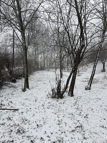 Torpaq sahələrinin satışı: 20 sot, Tikinti, Barter mümkündür, Kupça (Çıxarış) — 6