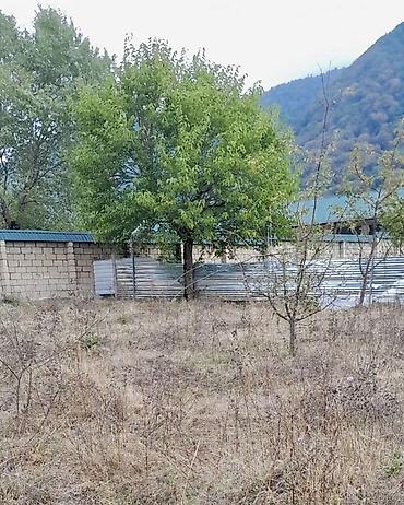 cepis satisi: 26 sot, Biznes üçün, Mülkiyyətçi, Kupça (Çıxarış) — 1